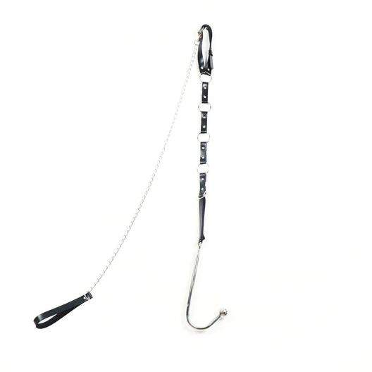 Kinky and Anal Collar 5853 with EverydayUse Hook Leash 0731